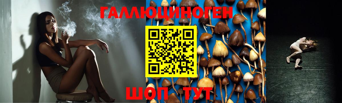 Галлюциногенные грибы мицелий  Вход с VPN  Миасс 